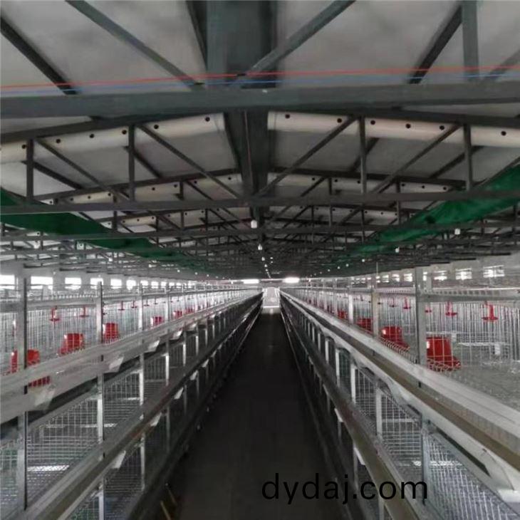 养(yang)鸡料线(xian)