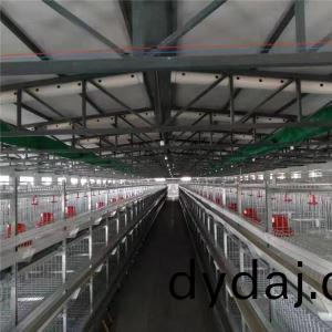 养鸡(ji)料(liao)线